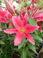 [4363 Night Fever DJ No102.JPG]